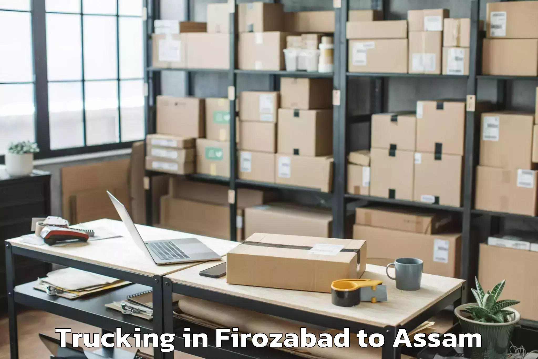 Book Your Firozabad to Dhing Trucking Today